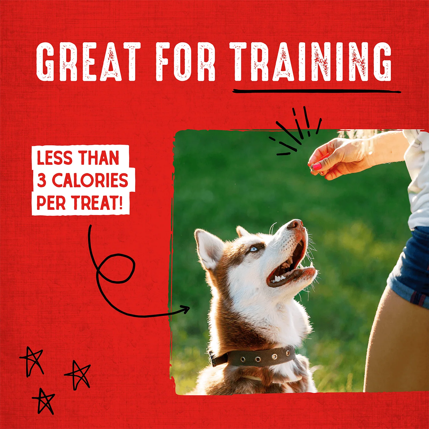 Beef Carnivore Crunch for Dogs - Image 7