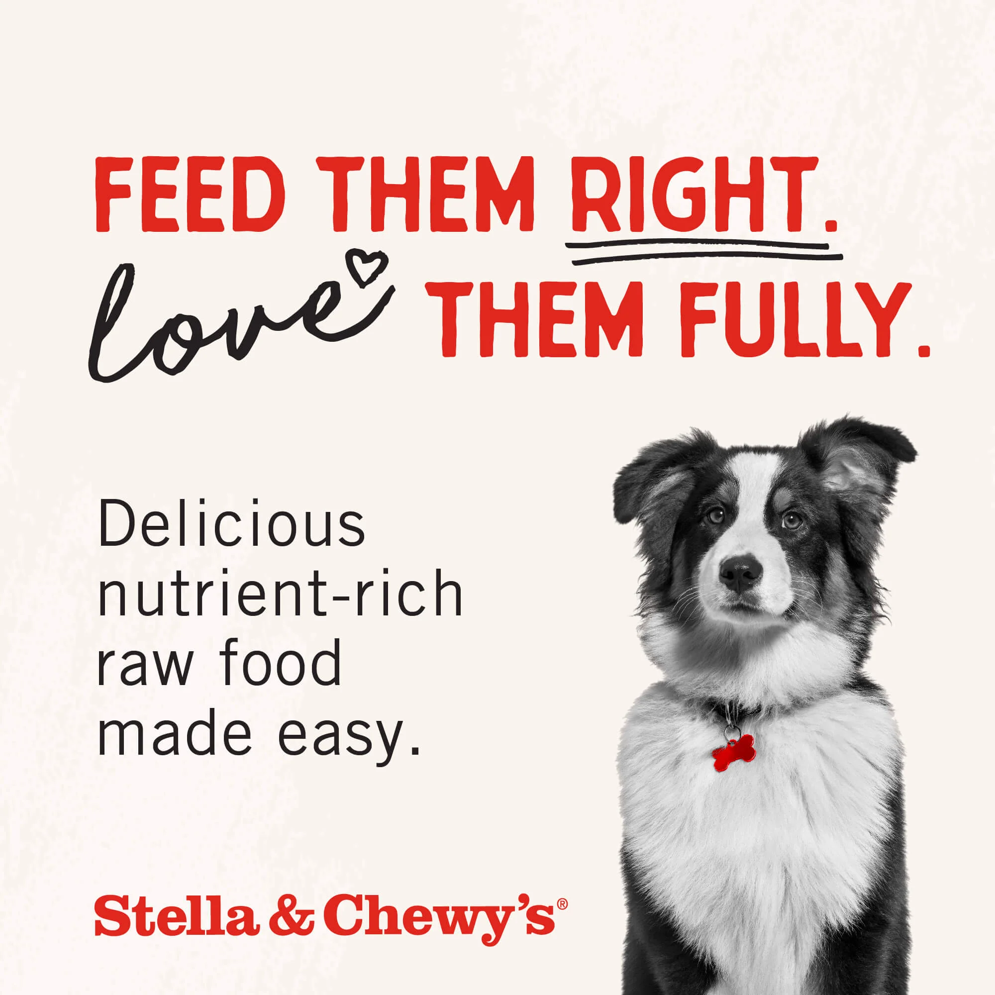 Beef Liver Treats for Dogs - Image 9