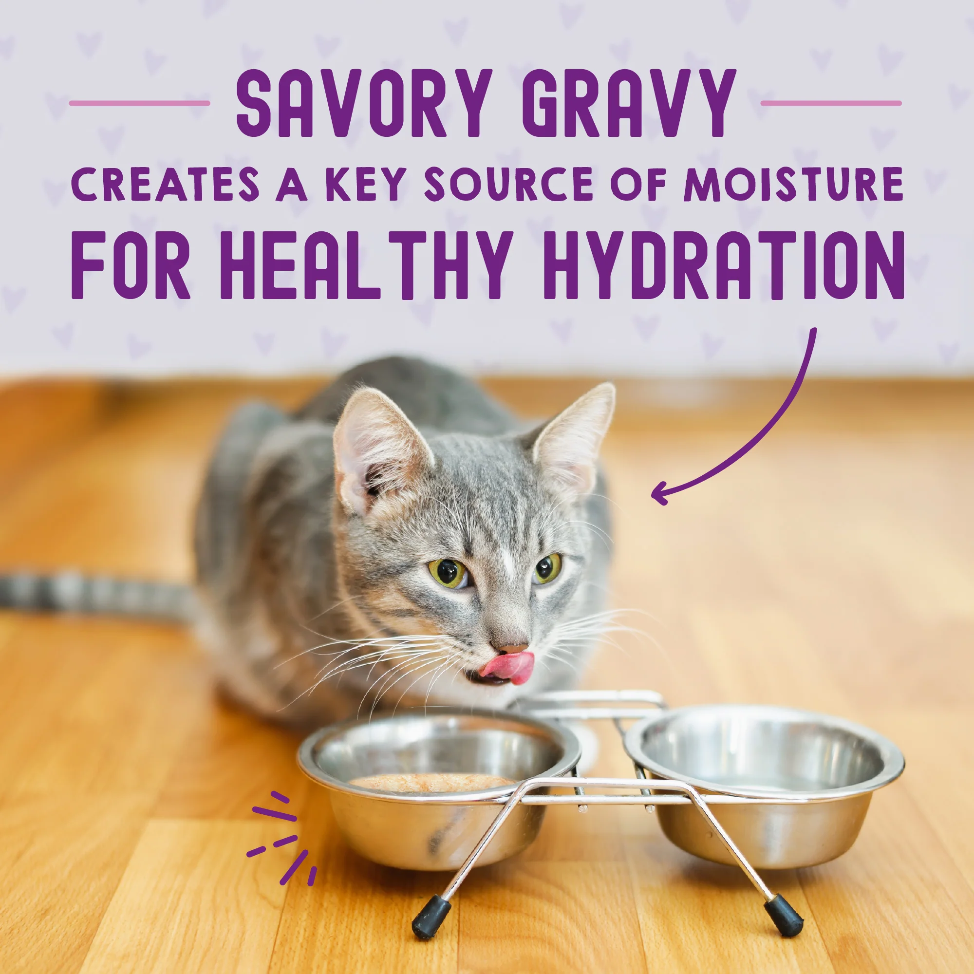 Carnivore Cravings Morsels'N'Gravy Salmon & Tuna Recipe for Cats - Image 6