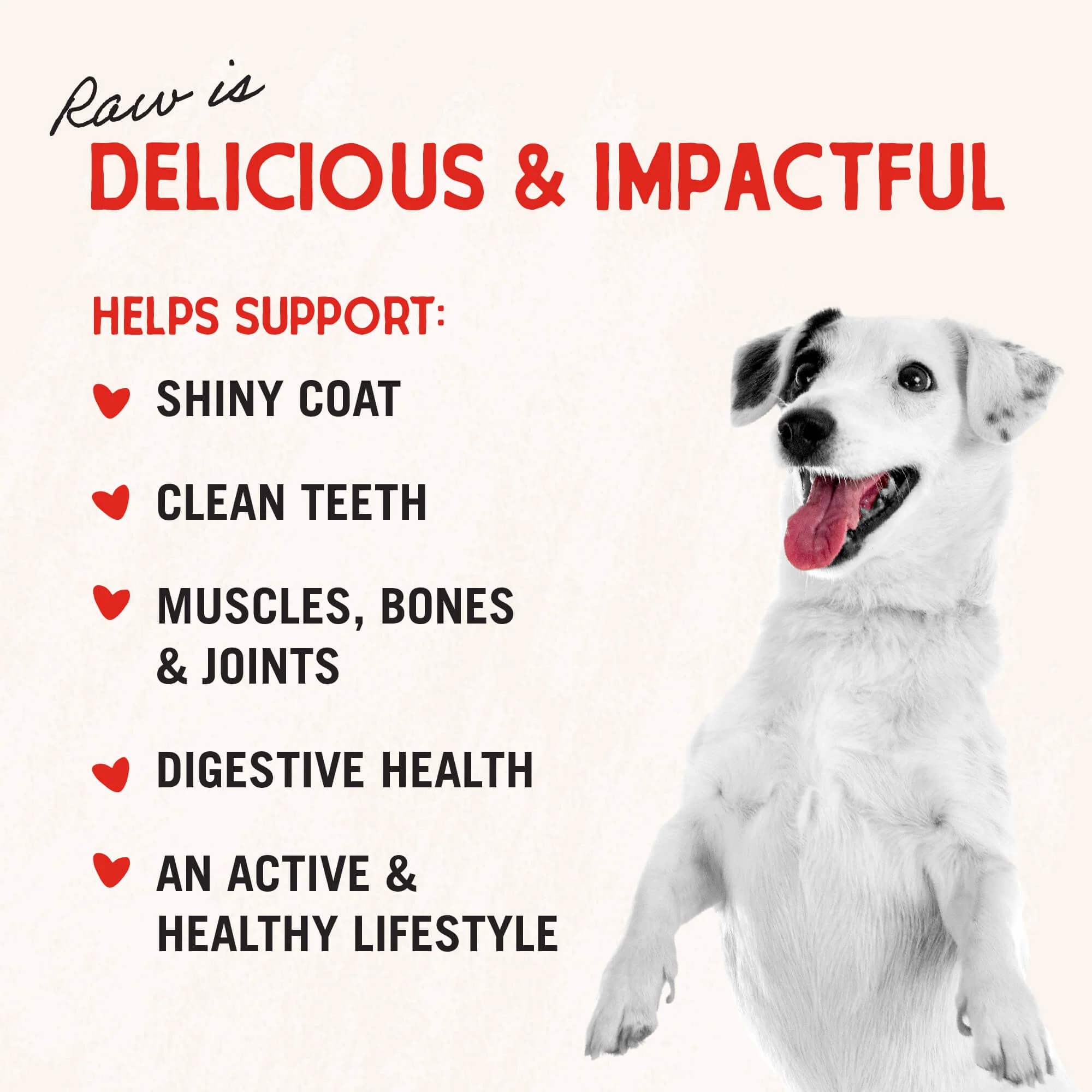 Chicken Breast Treats for Dogs - Image 5