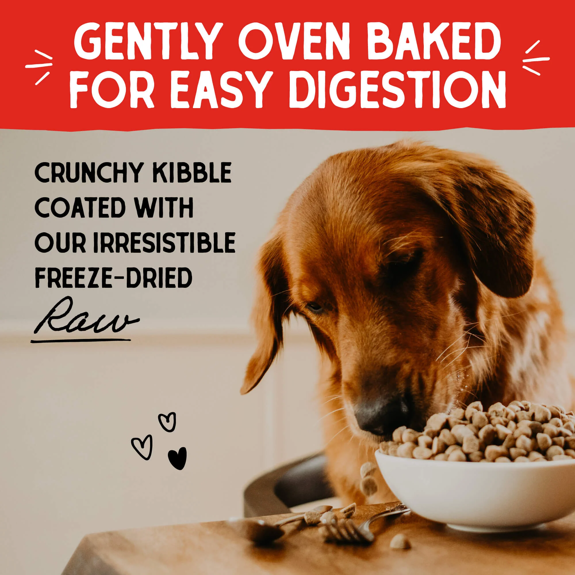 Wild Caught Whitefish Raw Coated Kibble for Dogs - Image 5