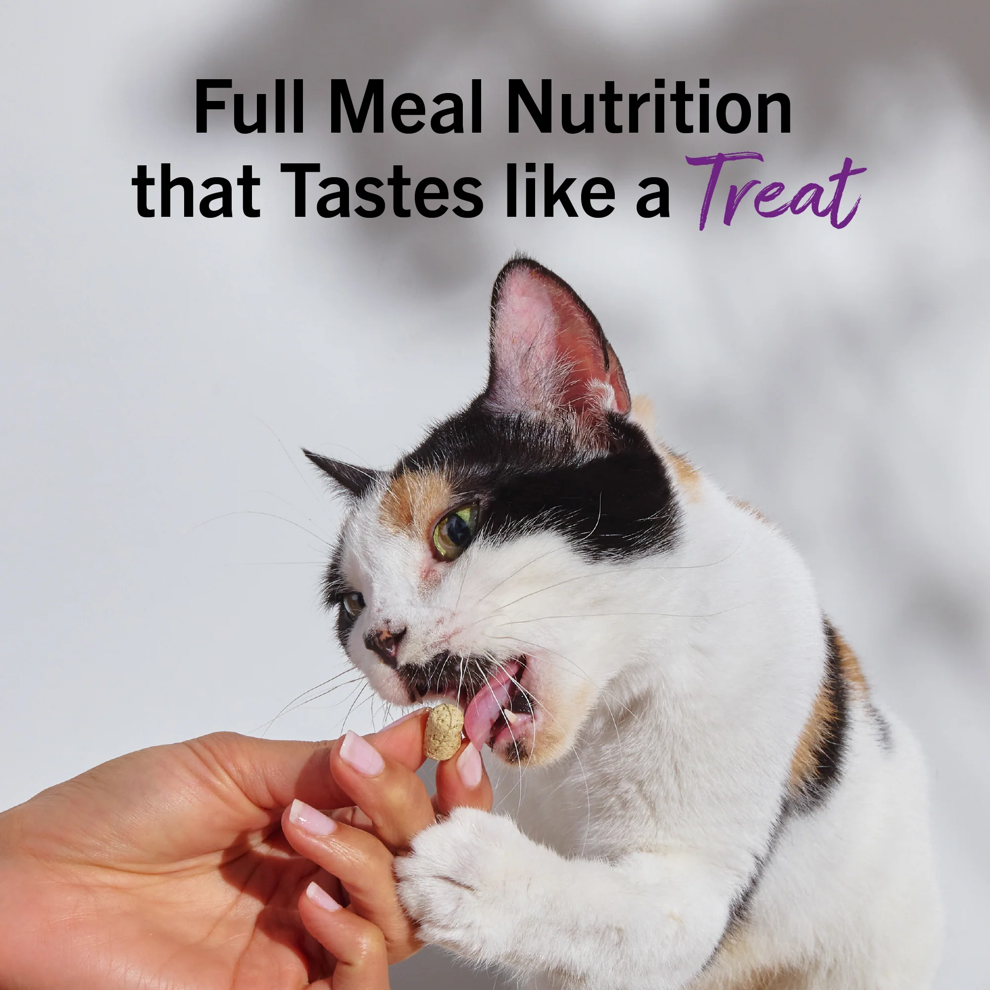 Duck Duck Goose Freeze-Dried Raw Dinner Morsels for Cats - Image 13