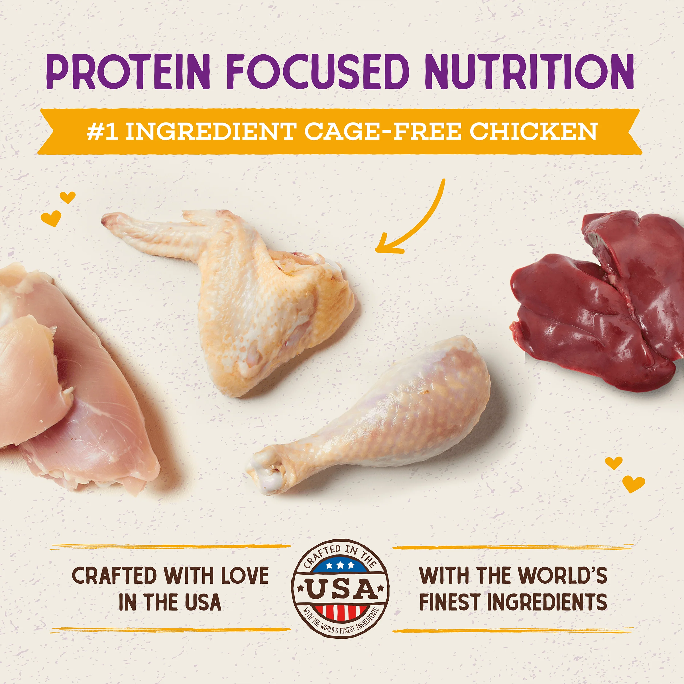 Raw Coated Kibble Cage-Free Chicken Recipe for Cats - Image 2