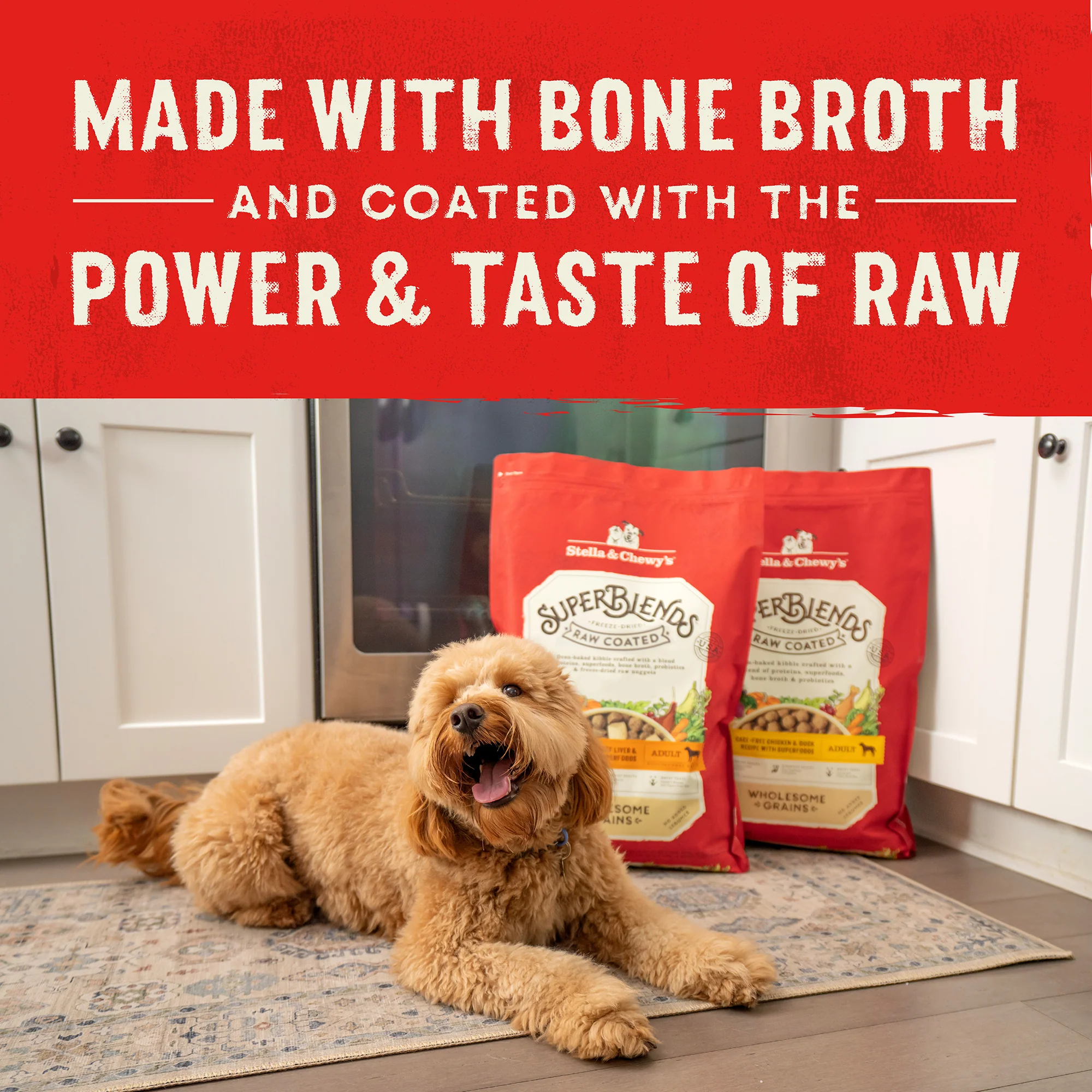 SuperBlends Raw Coated Whitefish & Salmon Recipe + Superfoods for Dogs - Image 9