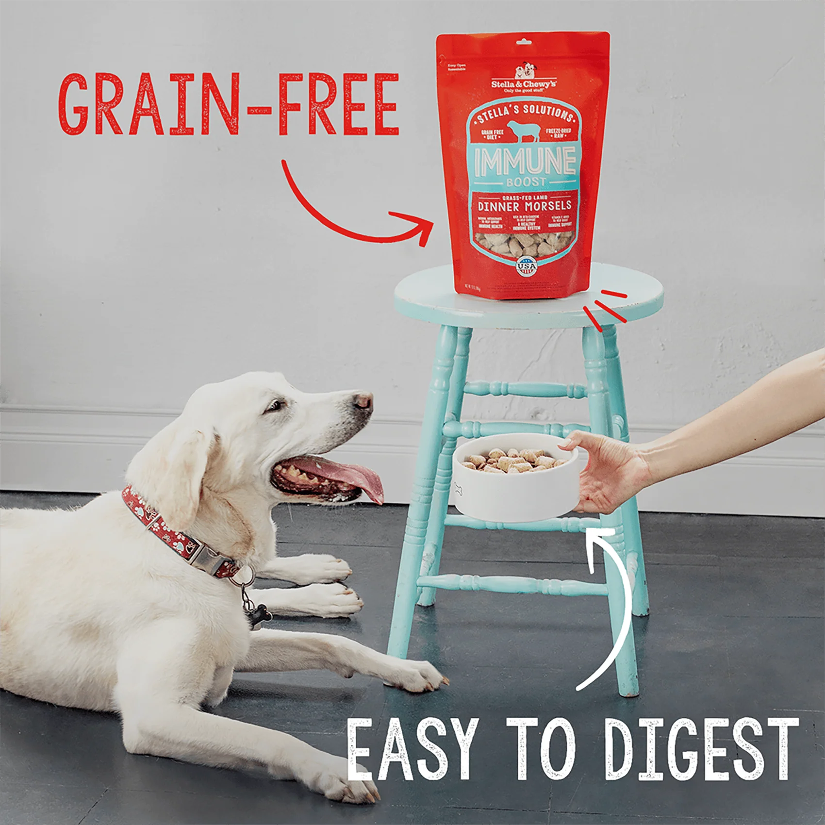 Stella’s Solutions Healthy Heart Support for Dogs - Image 6