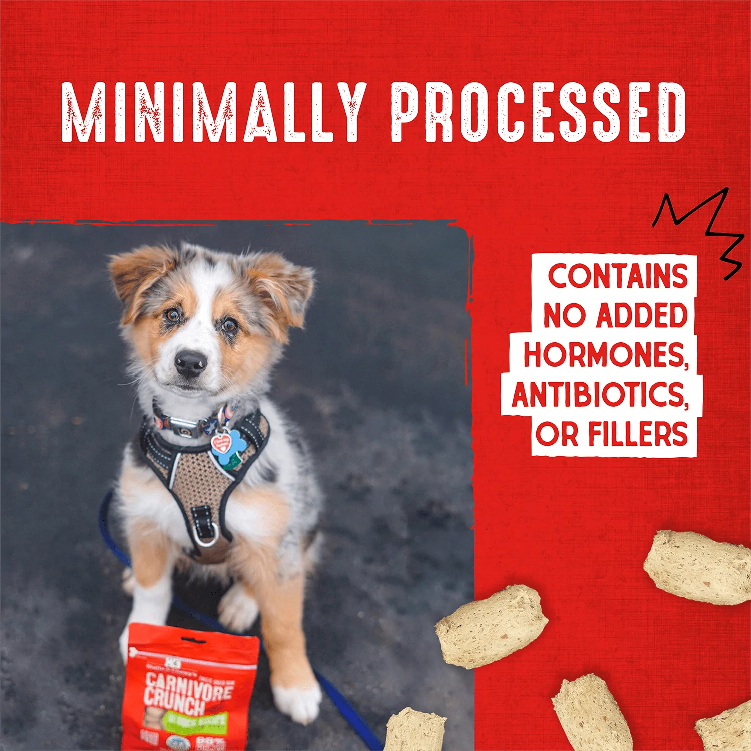 Turkey Carnivore Crunch for Dogs - Image 8