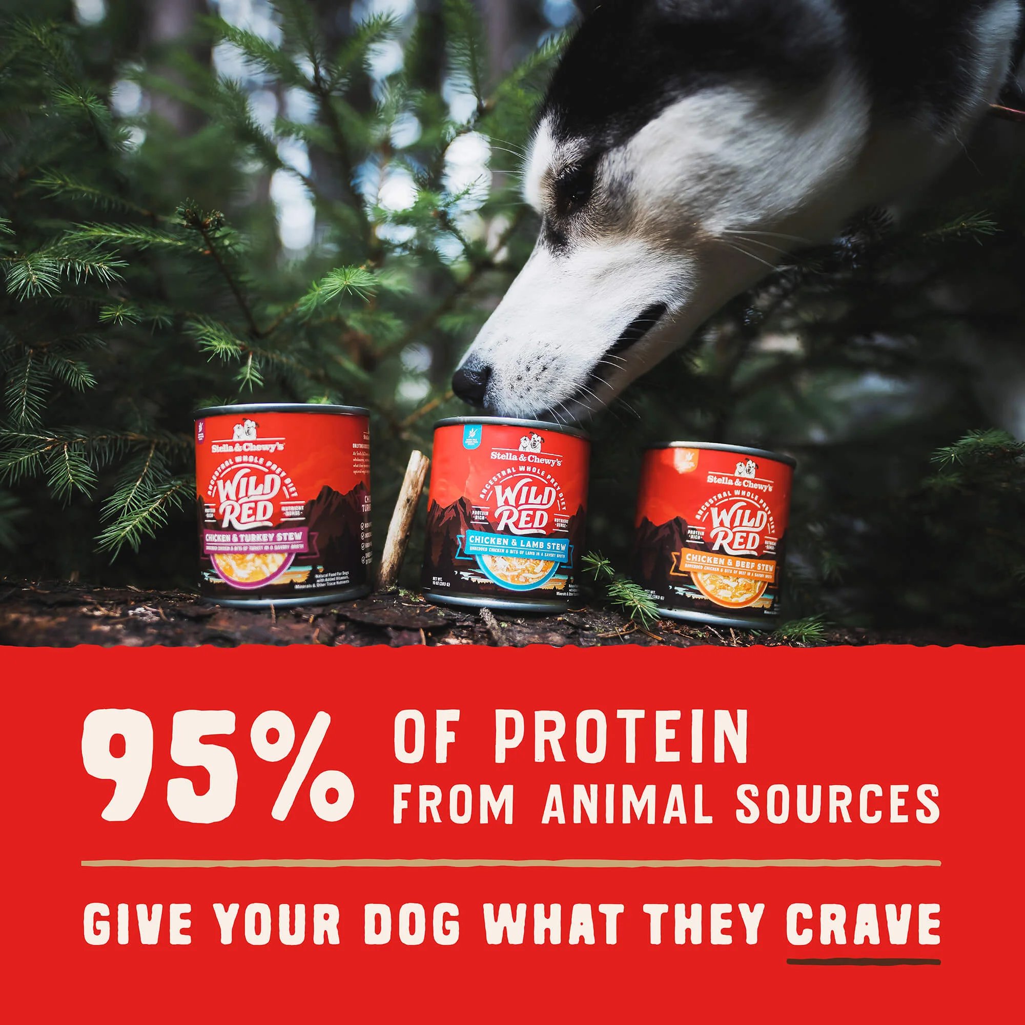 Wild Red Chicken & Turkey Stew for Dogs - Image 4