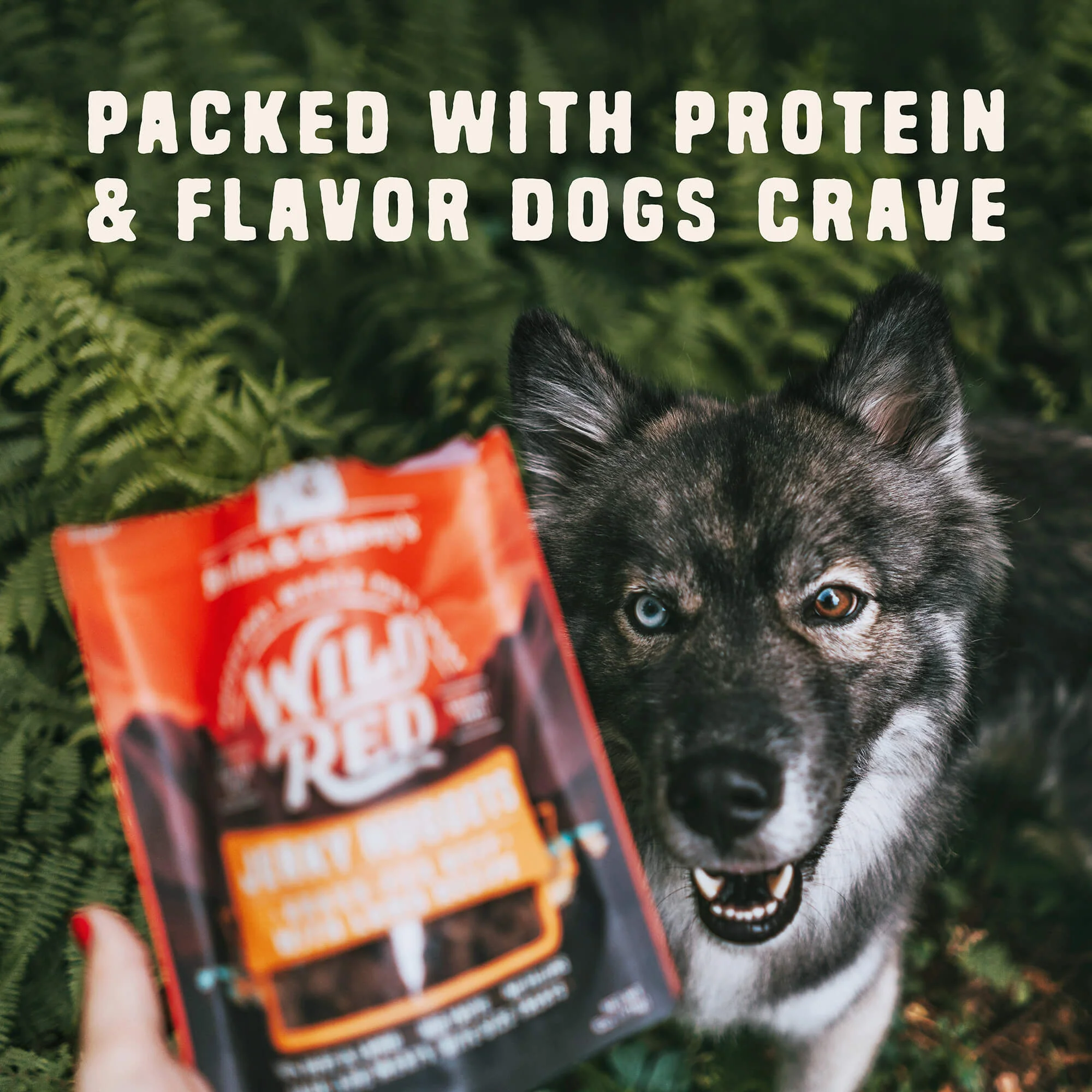 Wild Red Jerky Nuggets Beef & Lamb Recipe for Dogs - Image 5
